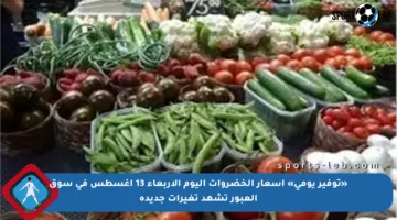 «توفير يومي» أسعار الخضروات اليوم الأربعاء 13 أغسطس في سوق العبور تشهد تغيرات جديدة